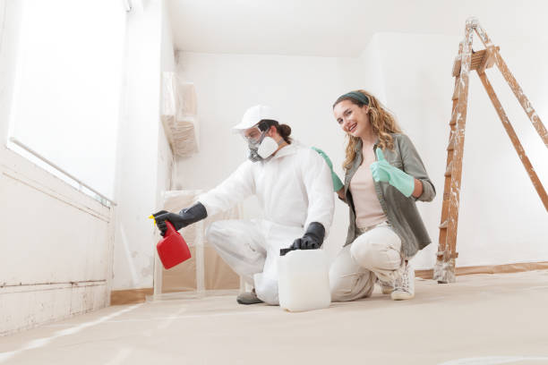 Best Indoor Air Quality Assessment  in Cresson, TX