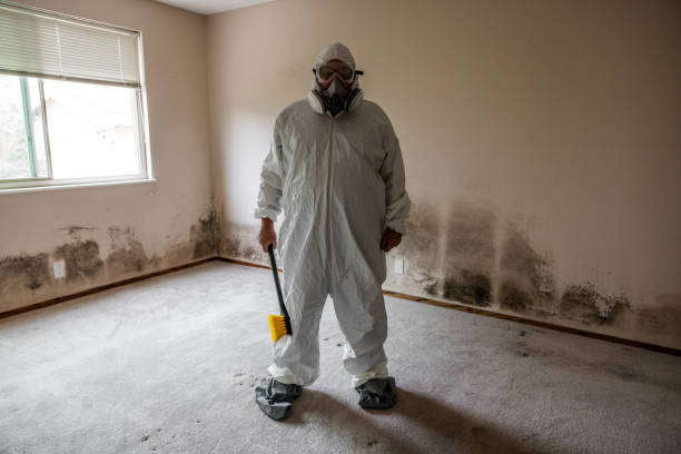 Best Mold Odor Removal Services  in Cresson, TX